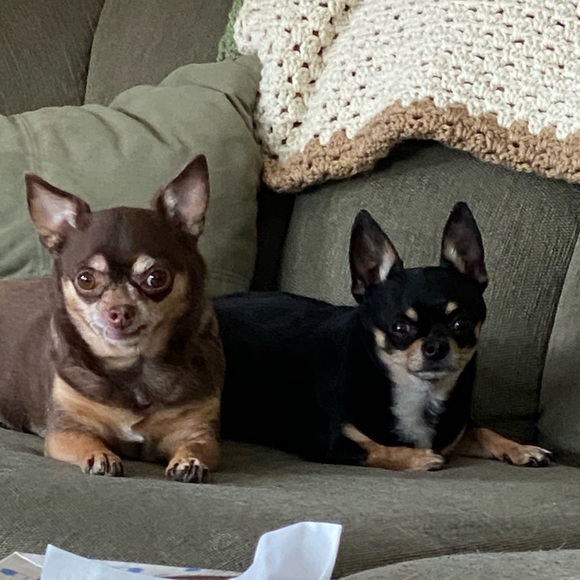 Meet the posher - Picture 2 of 4